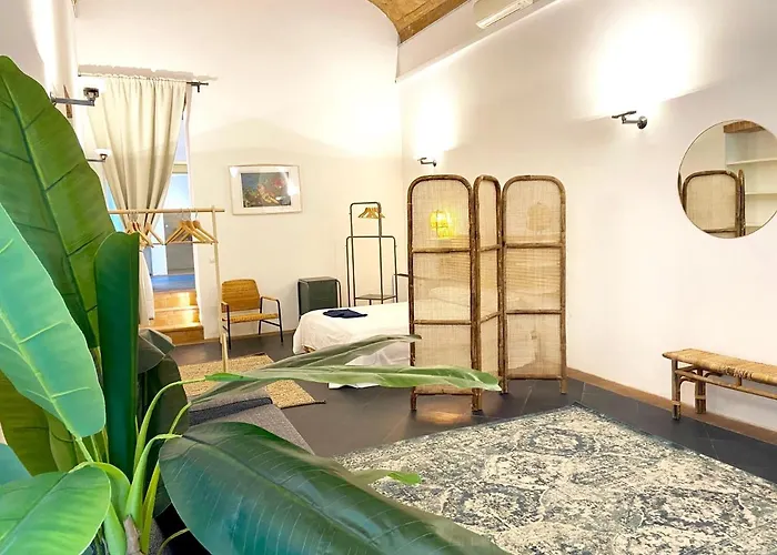 The Jungle Apartment